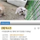 도도 - 4322 | 도도