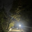 쌈지 | [경남 밀양] 밀양 가볼만한곳 소소한 데이트 산책추천 야경 맛집 &#39;달빛쌈지공원&#39; 야경 후기