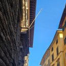 벨라약국 이미지