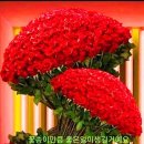 (주)나사 이미지