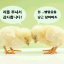 경기도 안산시 선부동 수익좋은 오피스텔 교환매매 ... 이미지