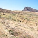 들꽃민박 이미지