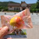 1년 지나서 쓰는 바람이좋은저녁 후기 (aka 운해맛집)