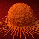 달구벌한의원 이미지