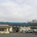 안양 농수산도매시장 꽃게 대게 새우 싸고 푸짐하게 먹을 수 있는 팁