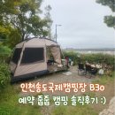 흥덕4로 30번길3 | [인천 송도] 네번째 캠핑 - 인천송도국제캠핑장 B 30 솔직후기(개인적으론 명당!)