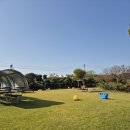 엘마르 | 전남 무안 애견동반 카페 잔디 마당이 있는 엘마르 시크릿 가든 솔직후기