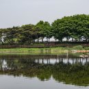 장자호수공원 이미지