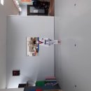 용인대 파랑 태권도장 이미지