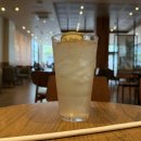 피비오 이미지