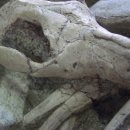 포유테크 이미지