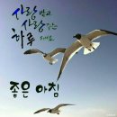예쁜;오늘 - 화성시 시청로 60 | 예쁜;오늘