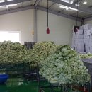 동희농장 이미지