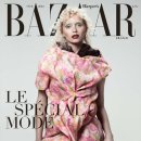 알리와 윌리 이미지