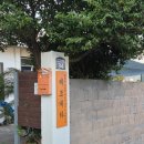 여행자게스트하우스 | 제주도 조용한 게스트하우스 후기ㅣ 1인 여행자를 위한 조용한 게하 숙소(혼자 여행시 추천), 파티파티...