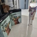 파브 | 먼지없는고양이모래 식물섬유 파브이브펫 사용후기