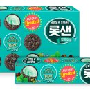 민트 세계일보