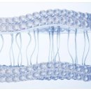 아이리드성형외과의원 이미지