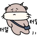박구윤회관 이미지