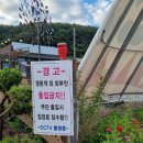 꽃지오션빌바닷가가족단체애견 | [태안 안면도 캠핑장] 바로앞에 수산시장,꽃지해수욕장 있음! &#34;마린오토캠핑장&#34; 내돈내산 솔직후기