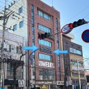 플로리스트(금) 이미지