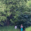 서울숲6 이미지