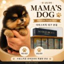 마마스미독 강아지분양 대전점 | 마마스미독 대구, 동대구강아지분양 상담 전에 확인해야 할 기준