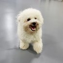 나와놀개 이미지