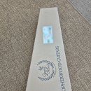 소프트기타교습소 | 고퍼우드 S modern Ⅱ 일렉기타
