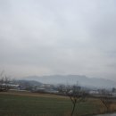 지곡1통 이미지