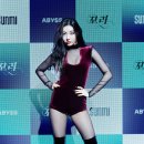 도도한 컴퍼니 이미지