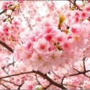 만두한판 이미지