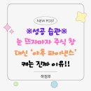 부자아침계란 네이버블로그