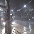 하니샘