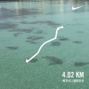 오름생고기 | 25년 5월 5주차 | 안 피곤하면 이상한 사람의 제주살이 3주차 일상일기