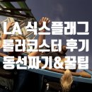 엑스투스튜디오 | [아메리카대륙종단] D+56 LA식스플래그#2 롤러코스터 후기/동선짜는 방법 & 꿀팁