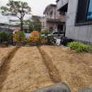 신월동200 이미지