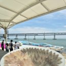 부산 광안리 회센터 포장, 가성비 좋은 회 추천 조은상회