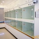 카페치치 - 포항시 남구 연오로79번길 2 | 카페치치