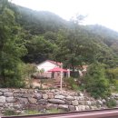 금대민박 이미지