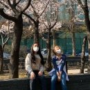 라오 이미지