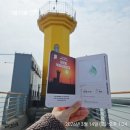 화성호 | 화성호 횡단 플로깅하고 궁평항 알쭈꾸미로 점심, 등대스탬프 찍기