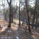 마리산 마트