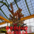 곤지암할매소머리국밥앤숯불돼지갈비 | 양평 용문천년시장 맛집을 찾아서....