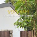 달단지스테이 이미지