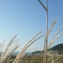 해안의 집 이미지