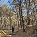 서봉산 산림욕장 2 이미지