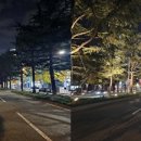 동대구로 이미지