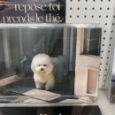 플러피 프렌즈 (fluffy friends) 이미지