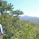 서귀포자연휴양림 이미지